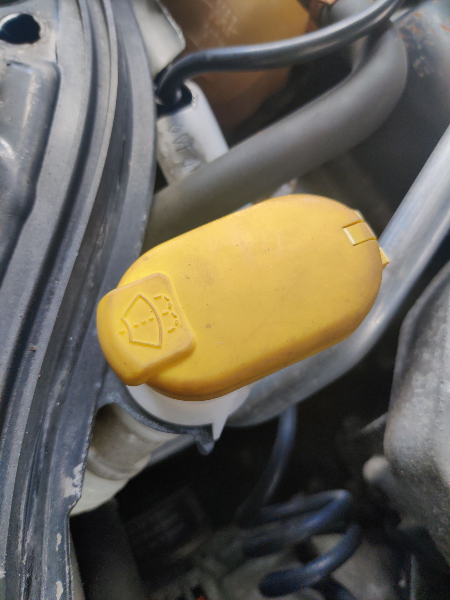 deposito_limpia_renault_megane_ii_bm0_1_cm0_1_1_6_16v