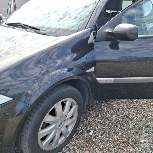 ALETA DELANTERA IZQUIERDA RENAULT MEGANE II (BM0/1_ CM0/1_) 1.6 16V FASE 1