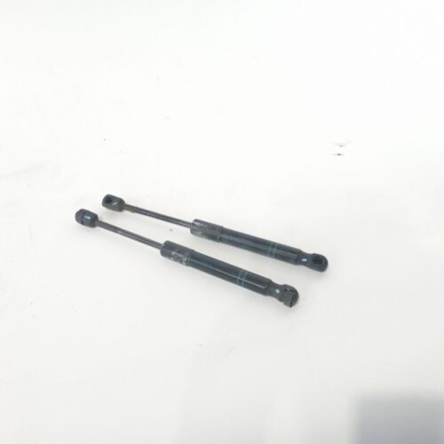 AMORTIGUADORES MALETERO / PORTON BMW 3 (F30 F80) 318 D