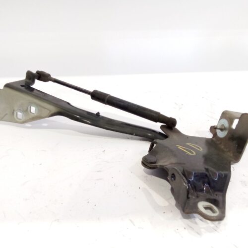BISAGRA CAPOT RENAULT GRAND SCÉNIC III (JZ0/1_) 1.6 DCI (JZ00 JZ12)