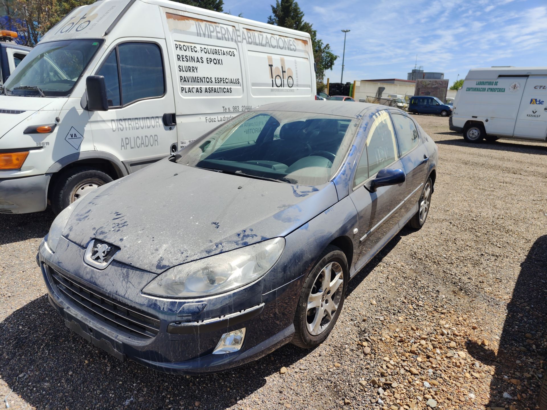 PEUGEOT 407 (6D_)