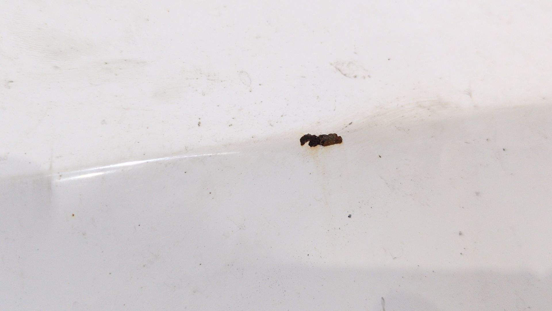 aleta_delantera_izquierda_6j0821021a_color_exterior_n_de_pintura_b4_b9a_6j0_821_021_a_seat_ibiza_iv_6j5_6p1_1_4_tdi