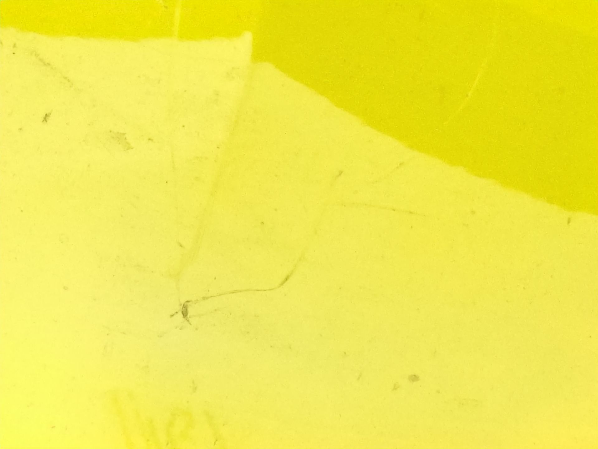 capot_7e0823033h_7e0_823_033_h_color_exterior_n_de_pintura_91_121_volkswagen_transporter_t6_furgoneta_sga_sgh_sha_shh_2_0_tdi