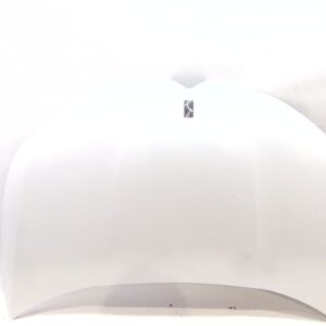 capot_7901s1_7901_s1_ewp_pintura_blanco_banquise_citr_n_ds4_nx_1_6_hdi_115