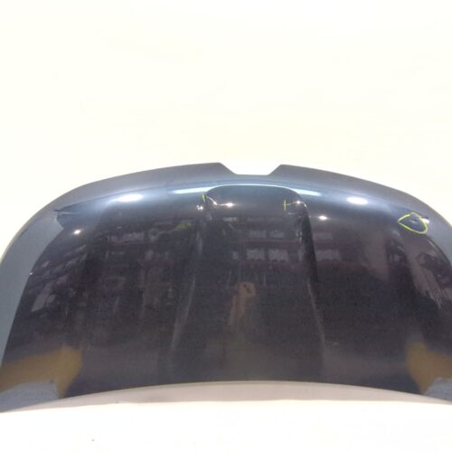 CAPOT RENAULT TRAFIC III AUTOBÚS (JG_) 2.0 DCI 150 (JGMU)