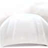 capot_651006221r_ice_white_bc_ov369_dacia_sandero_iii_1_0_tce_110