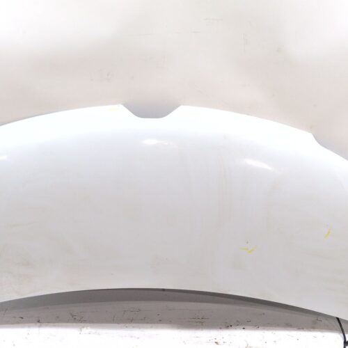 CAPOT RENAULT MASTER III FURGONETA (FV) 2.3 DCI 135 FWD (FV0N FV08)