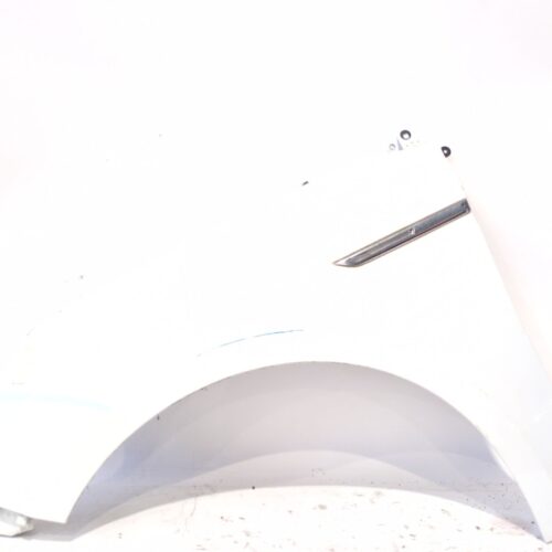 ALETA DELANTERA IZQUIERDA RENAULT MEGANE IV SEDÁN 1.5 BLUE DCI 115 (LVA6)