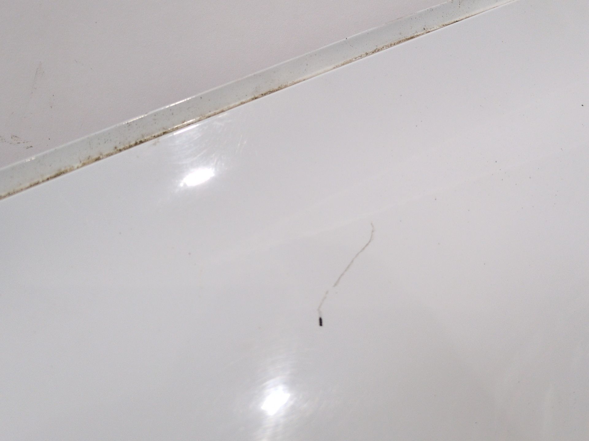 aleta_delantera_izquierda_631016669r_renault_megane_iv_sedan_1_5_blue_dci_115_lva6