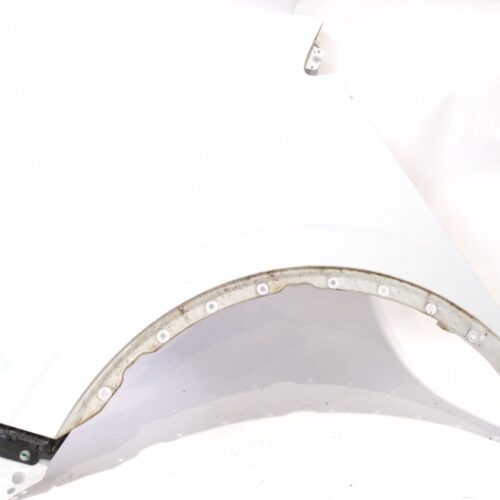 ALETA DELANTERA IZQUIERDA RENAULT KADJAR (HA_ HL_) 1.5 BLUE DCI 115