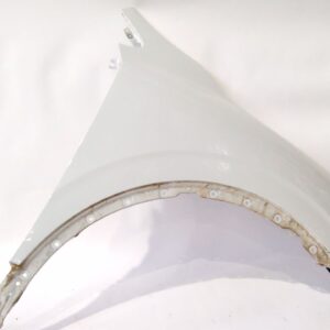 aleta_delantera_derecha_631006635r_ice_white_bc_ov369_renault_kadjar_ha_hl_1_5_blue_dci_115