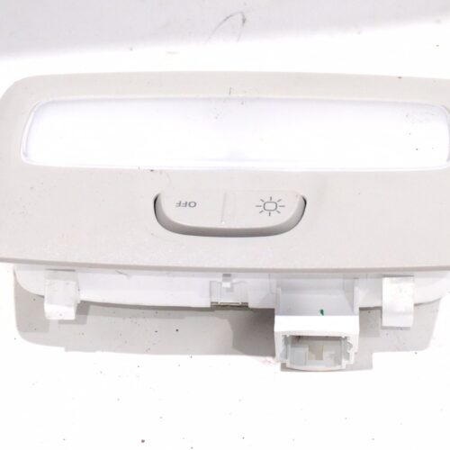 LUZ INTERIOR RENAULT KANGOO III MONOSPACE BLUE DCI 95 (KJAB)