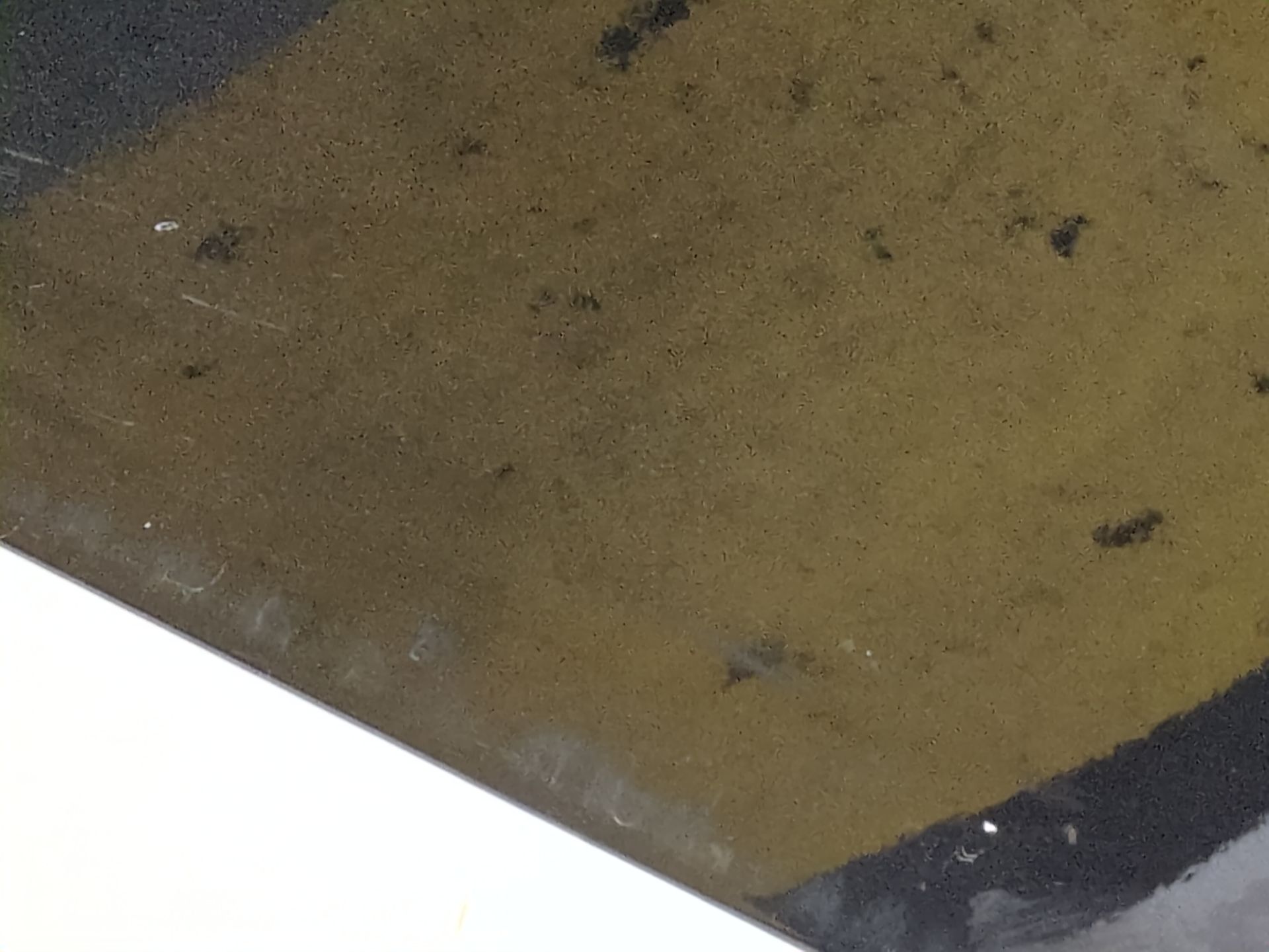 puerta_delantera_izquierda_sin_referencia_renault_kangoo_iii_monospace_blue_dci_95_kjab