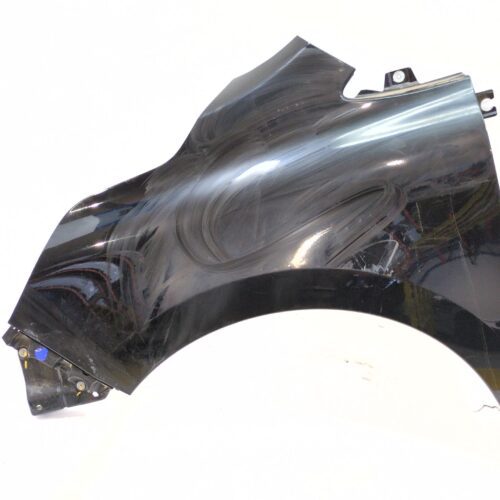 ALETA DELANTERA IZQUIERDA RENAULT KANGOO III MONOSPACE BLUE DCI 95 (KJAB)