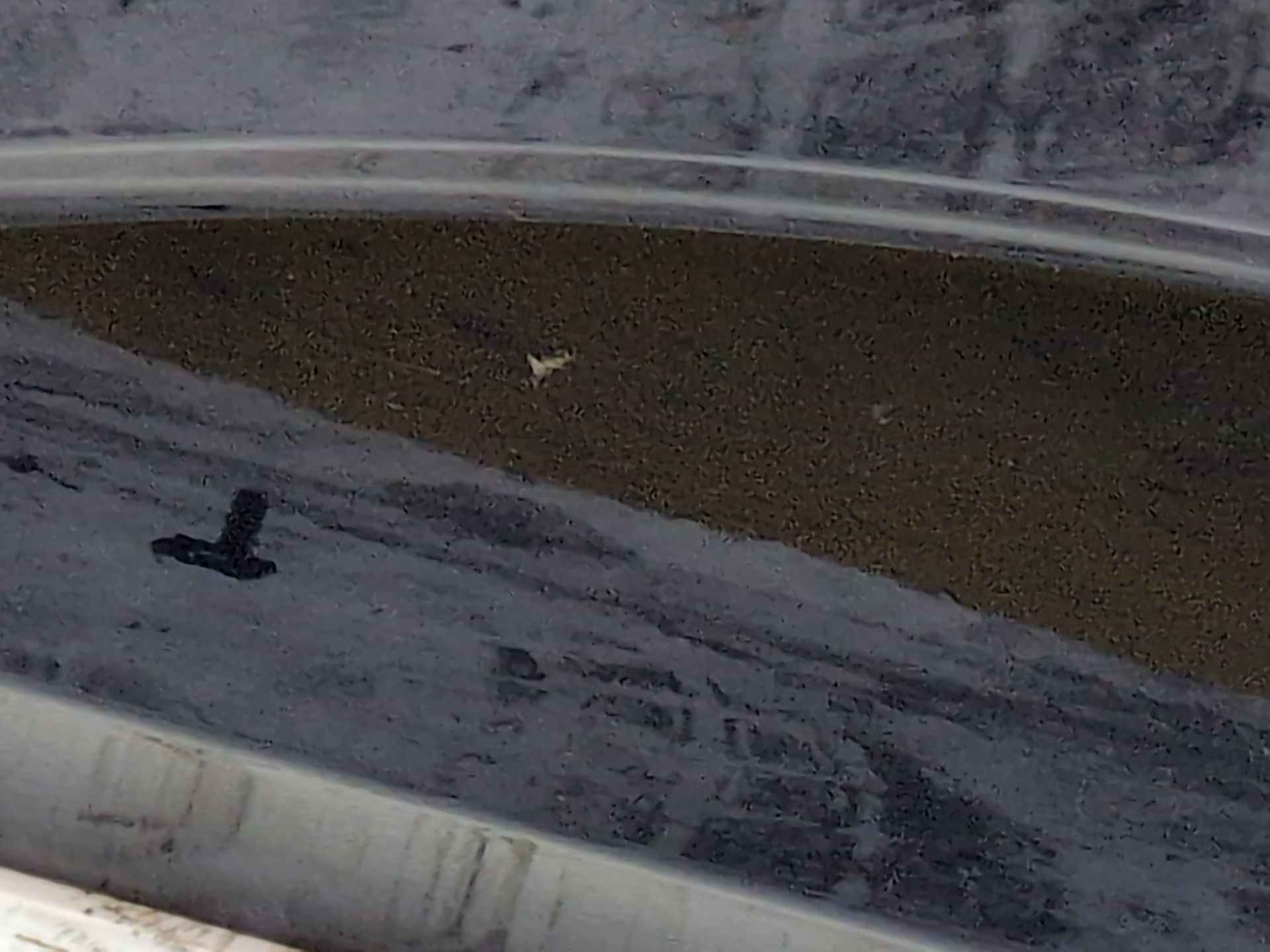 puerta_trasera_derecha_821001172r_blue_cosmos_terpr_renault_megane_iv_hatchback_b9a_m_n_1_5_blue_dci_95_b9a2