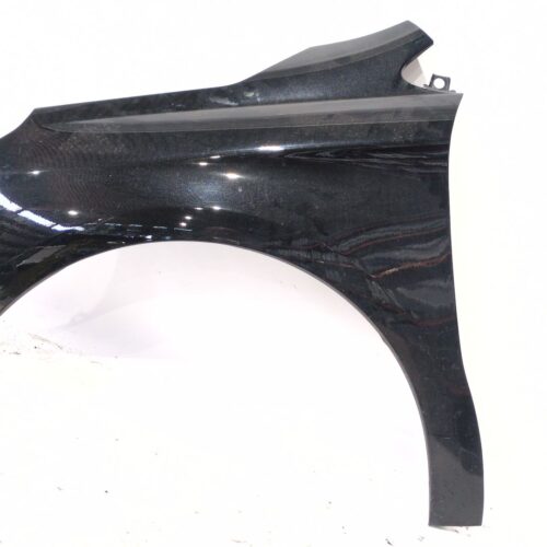 ALETA DELANTERA IZQUIERDA CITROËN C4 II (NC_) 1.6 HDI 110