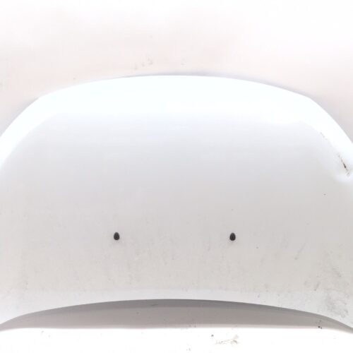 CAPOT DACIA DOKKER FURGONETA/MONOVOLUMEN 1.5 BLUE DCI 95 (FEJL) - 651007793R