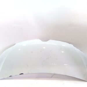 capot_sin_referencia_renault_master_iii_furgoneta_fv_2_3_dci_135_rwd_fv0n