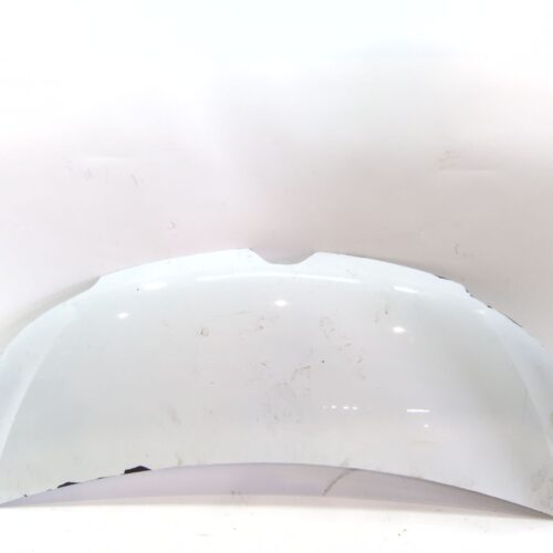 CAPOT RENAULT MASTER III FURGONETA (FV) 2.3 DCI 135 RWD (FV0N) - sin referencia