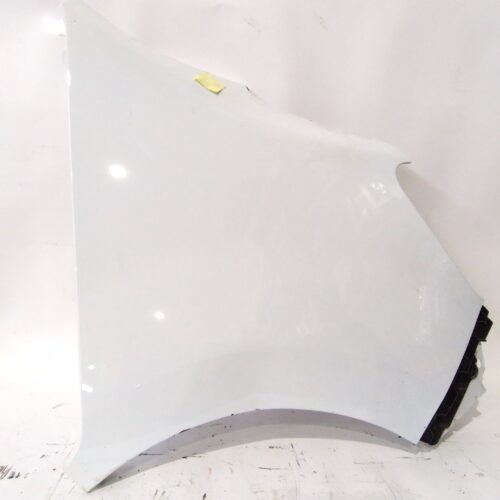 ALETA DELANTERA DERECHA RENAULT MASTER III FURGONETA (FV) 2.3 DCI 135 RWD (FV0N) - 260429002R