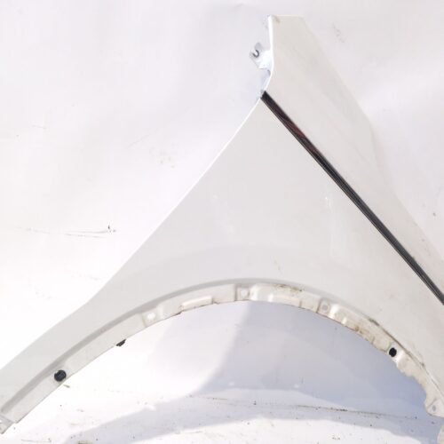 ALETA DELANTERA DERECHA RENAULT KOLEOS II (HC_) 2.0 BLUE DCI 185 (HCAK)