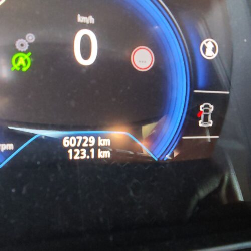 MOTOR COMPLETO RENAULT KADJAR (HA_ HL_) 1.5 BLUE DCI 115