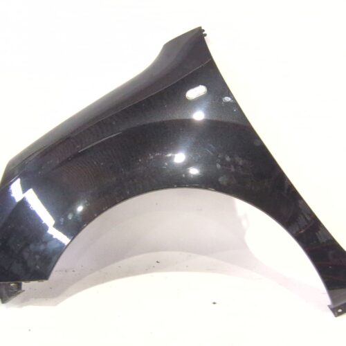 ALETA DELANTERA IZQUIERDA RENAULT KANGOO / GRAND KANGOO II (KW0/1_) 1.5 DCI 115 (KW17)