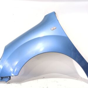aleta_delantera_izquierda_631011368r_blue_star_ternl_renault_kangoo_grand_kangoo_ii_kw0_1_1_2_tce_115_kw02_kw14