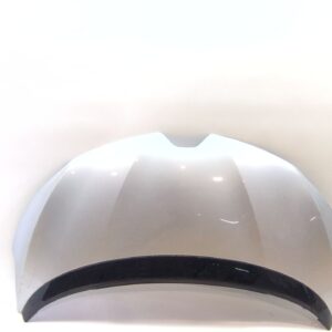 capot_651004703r_grey_ted69_renault_scenic_iv_j9_1_5_dci_110