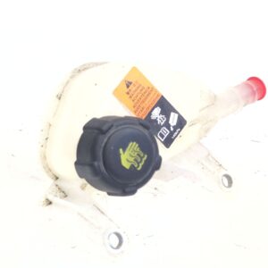 deposito_expansion_217106rs5a_renault_austral_e_tech_200_hybrid