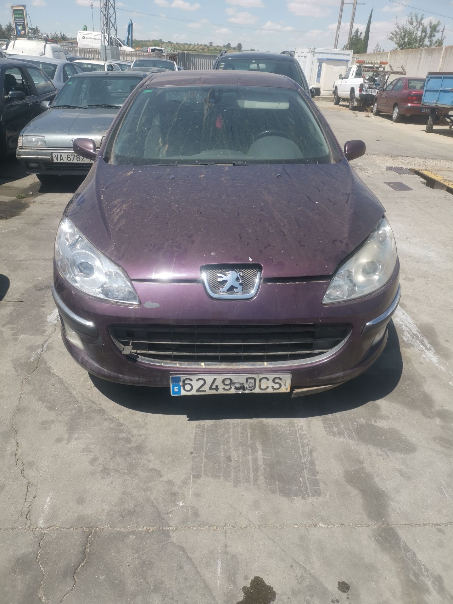 PEUGEOT 407 (6D_)