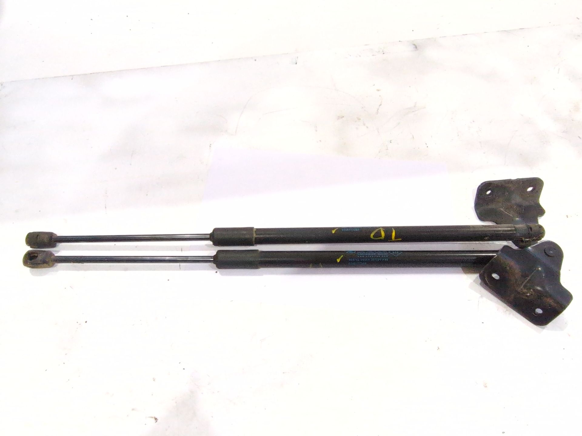 AMORTIGUADORES MALETERO / PORTON RENAULT AUSTRAL TCE 140